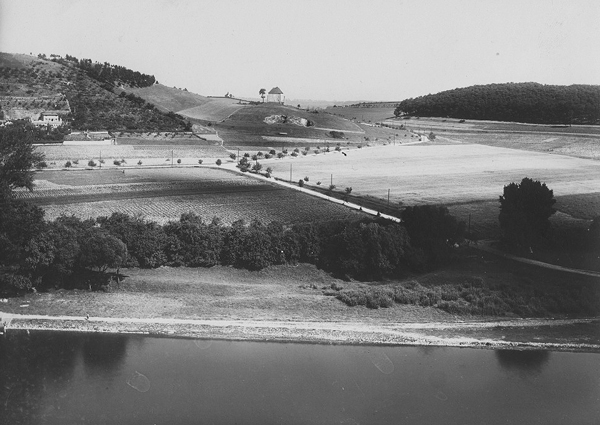 Trojská vinice Sklenářka na historické fotografii