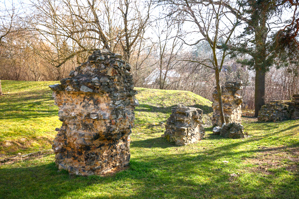 Zřícenina tvrze Dubeč (foto Marek Mejstřík)