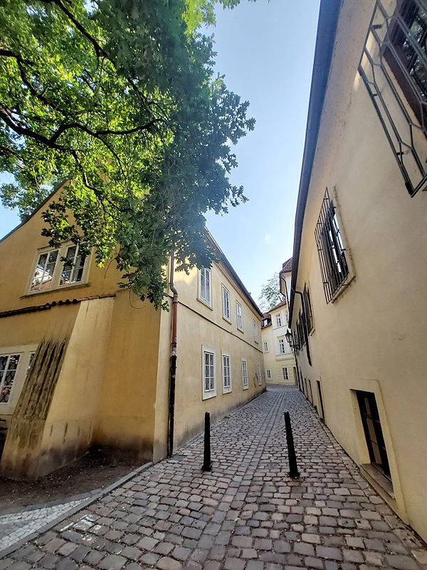 Řásnovka na Starém Městě, vycházka 27. 5. (zdroj: Mapy.cz, foto Jarda Nedoma)